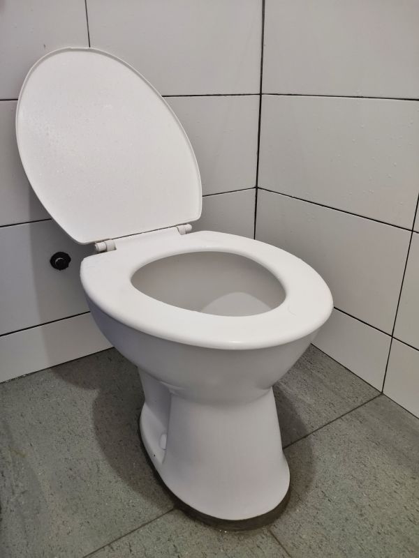 Toilet Replacement